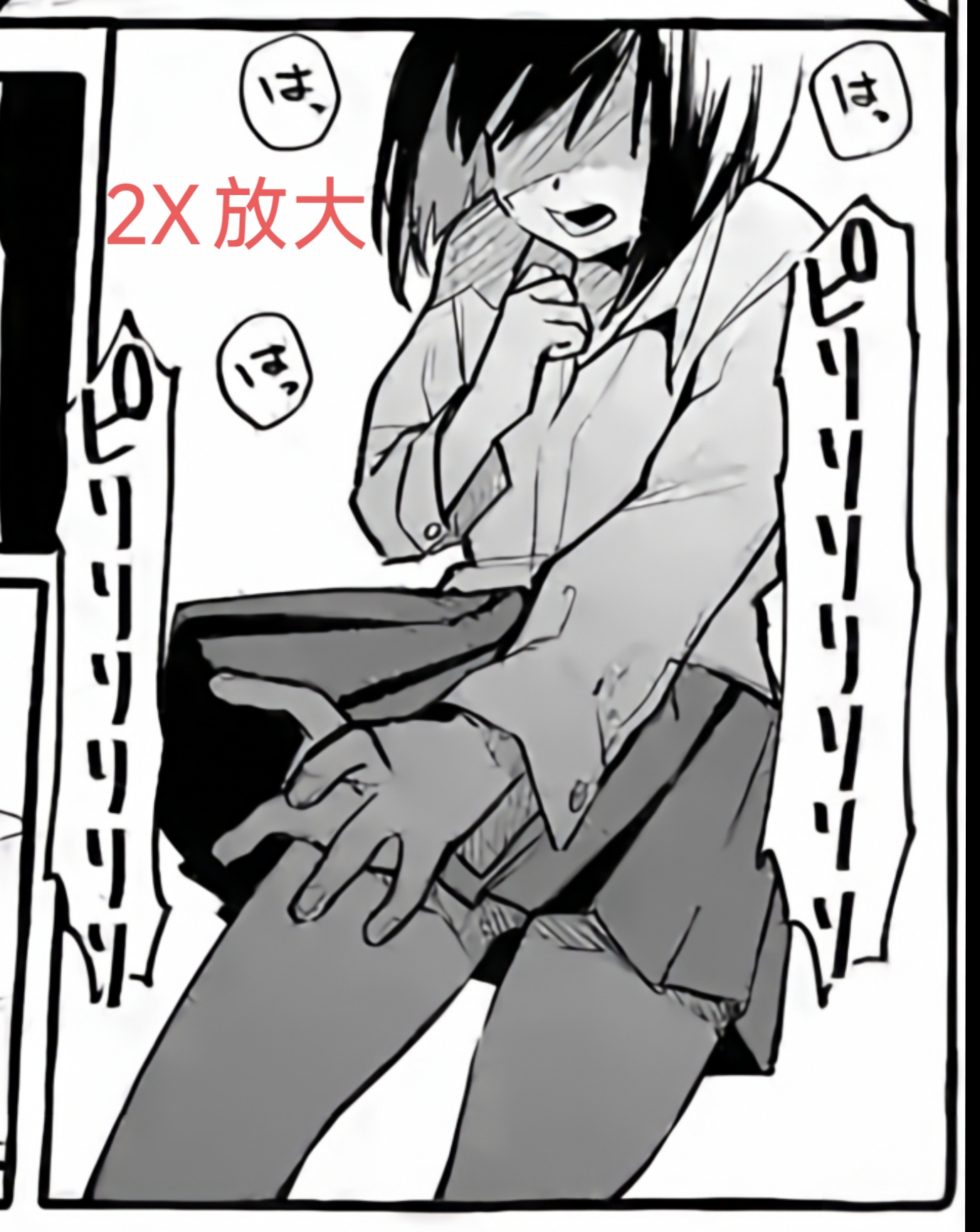2x 放大